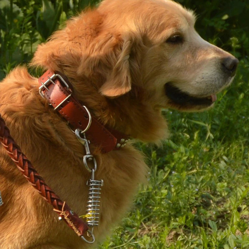 Leather Dog Collar & Leash – Strong Traction Lead for Large Dogs