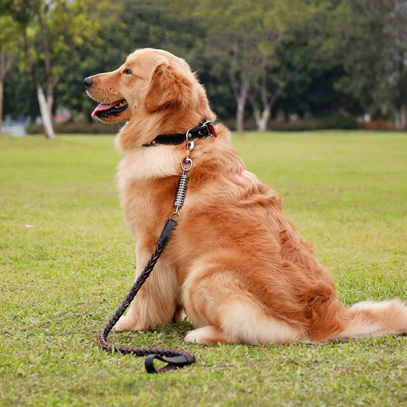 Leather Dog Collar & Leash – Strong Traction Lead for Large Dogs