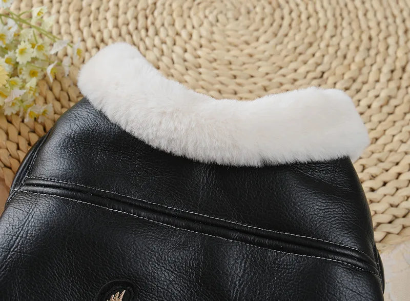 Winter Pet Clothes: Warm Pet Apparel For Dogs And Cats