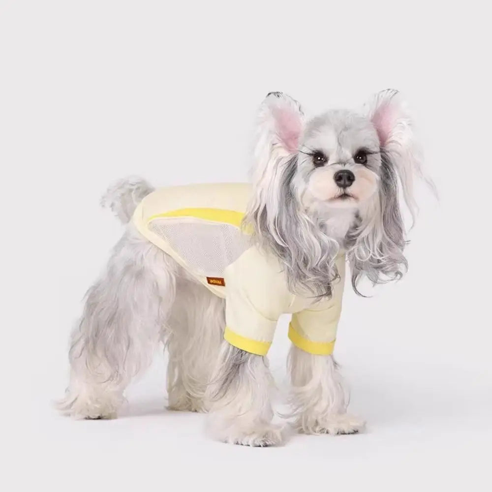 Pet Cooling Vest – Breathable Sunscreen Shirt for Cats & Small Dogs