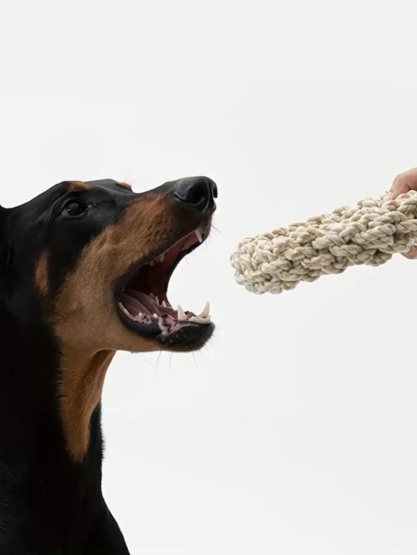 Durable Rope Dog Toy – Tough Chew for Medium & Large Breeds