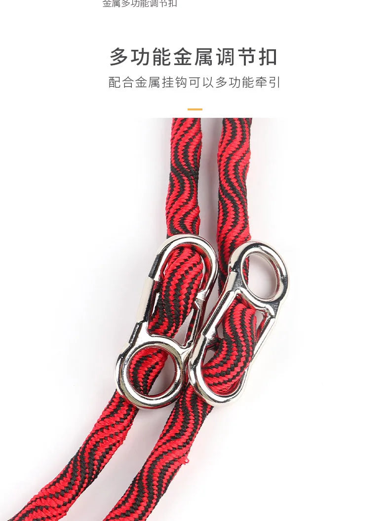 Pet Leash for Two Double Small, Medium and Large Dogs