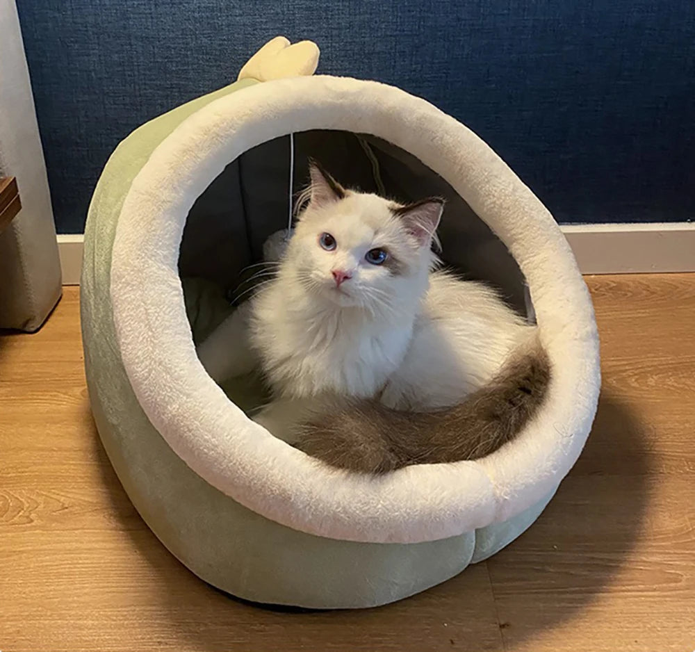 Foldable Removable Washable Pet Sleeping Bed for Small Dog & Cat