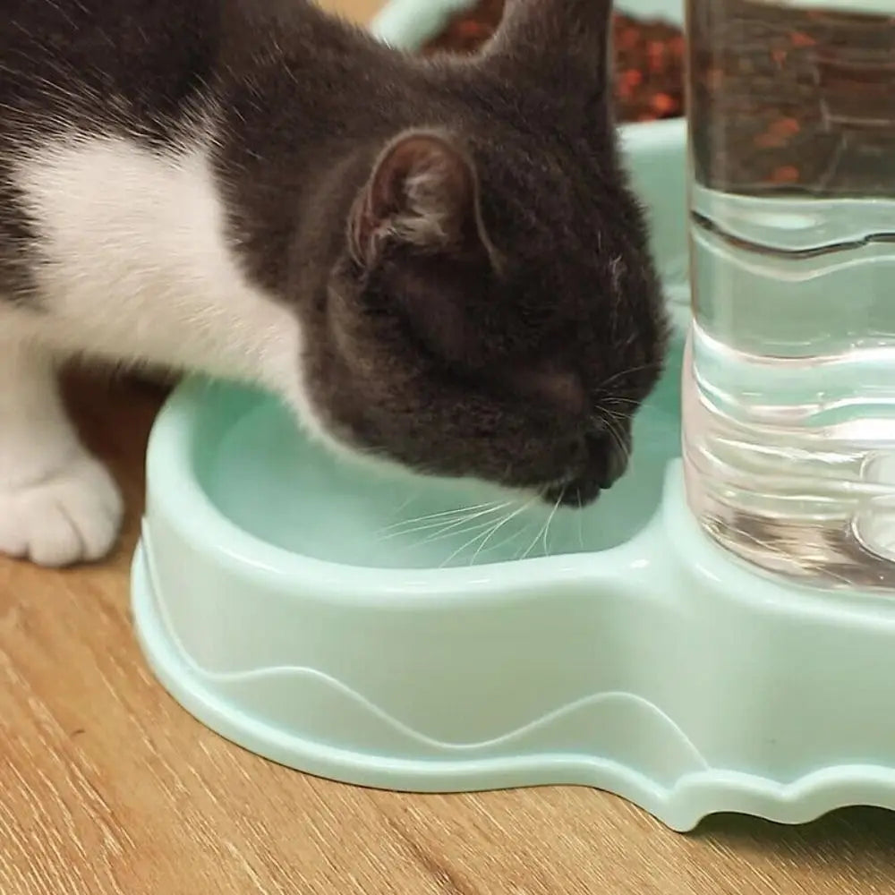 Automatic Pet Feeder & Water Fountain – 3.8L Food Dispenser