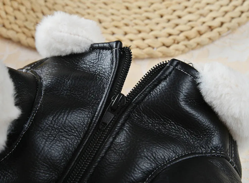 Winter Pet Clothes: Warm Pet Apparel For Dogs And Cats