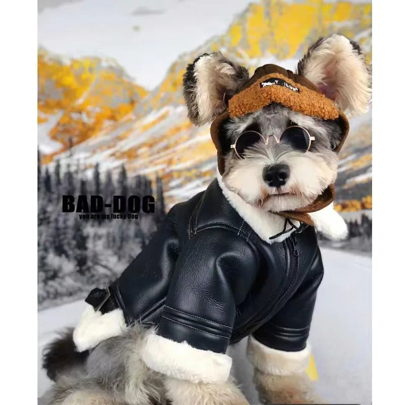 Winter Pet Clothes: Warm Pet Apparel For Dogs And Cats