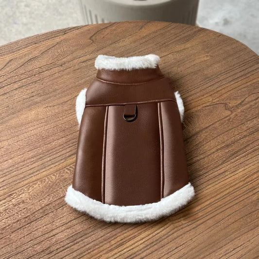 Winter Pet Clothes: Warm Pet Apparel For Dogs And Cats
