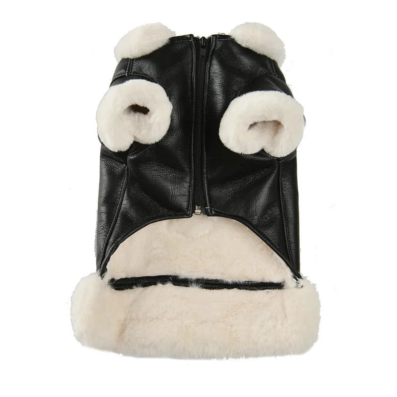 Winter Pet Clothes: Warm Pet Apparel For Dogs And Cats