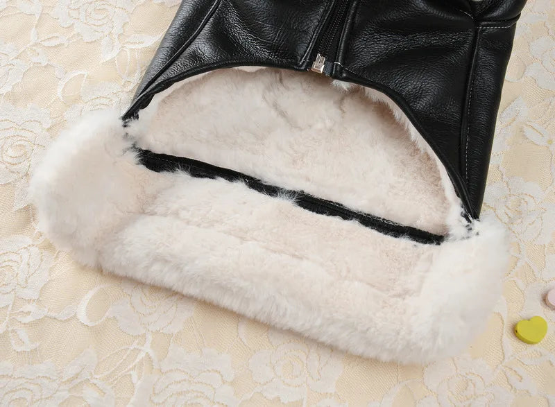 Winter Pet Clothes: Warm Pet Apparel For Dogs And Cats