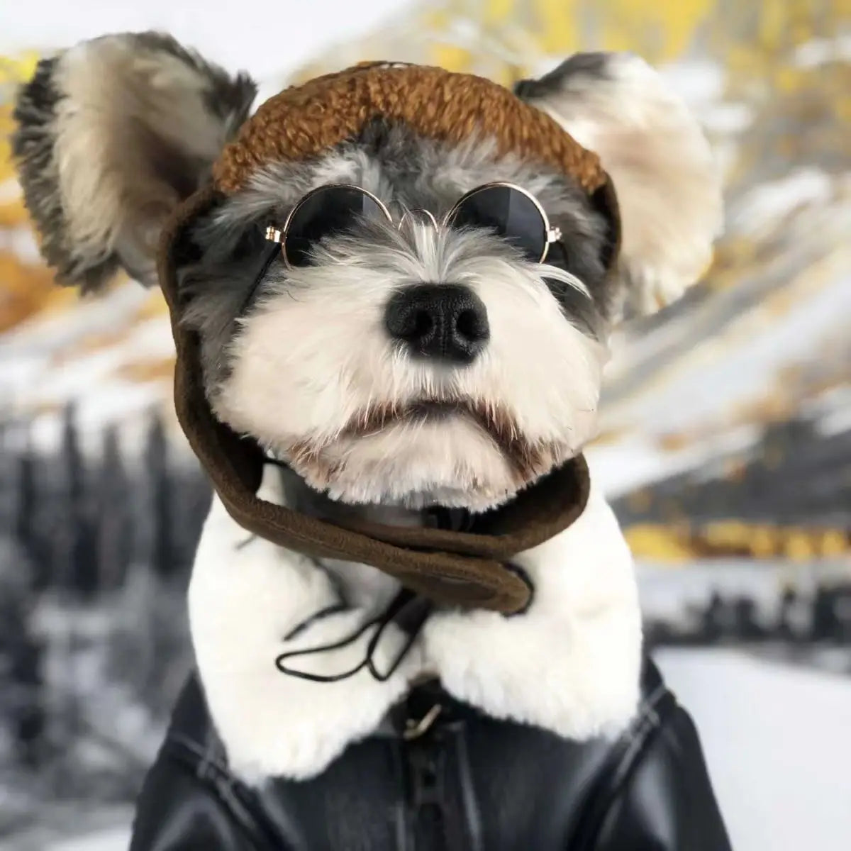 Winter Pet Clothes: Warm Pet Apparel For Dogs And Cats