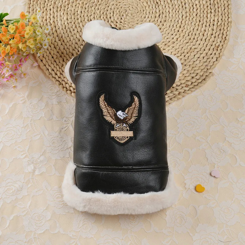 Winter Pet Clothes: Warm Pet Apparel For Dogs And Cats